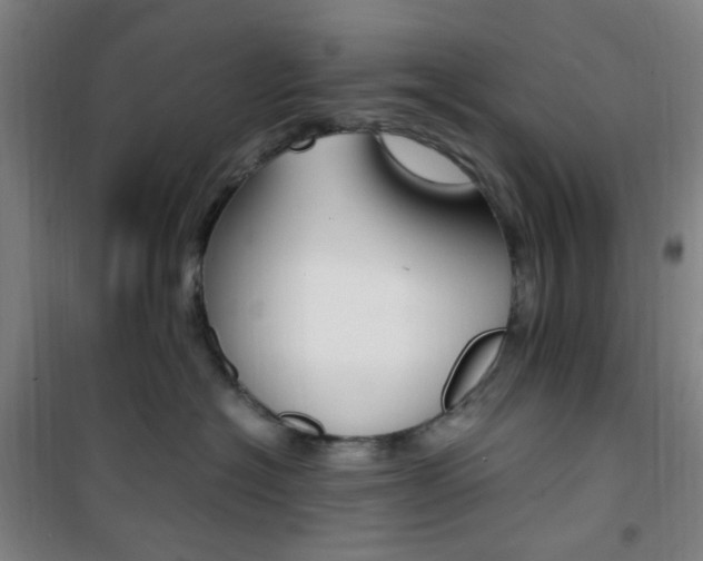 X0000101710574200807101411