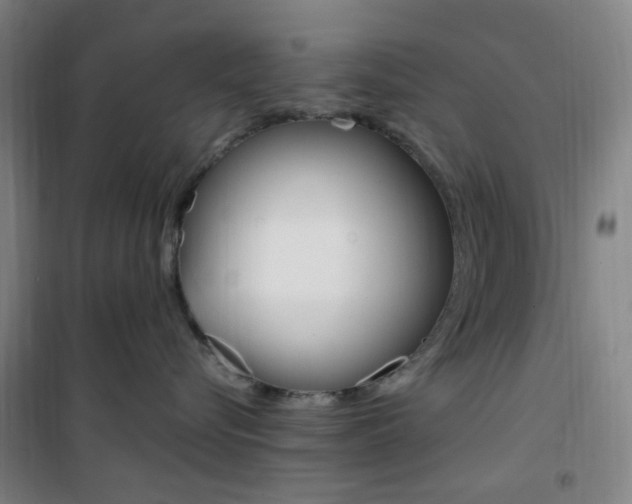 X0000101710576200807101411