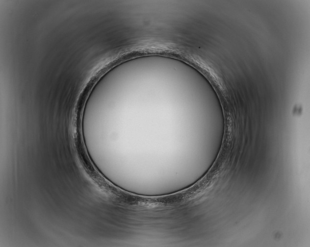X0000101710582200807101410