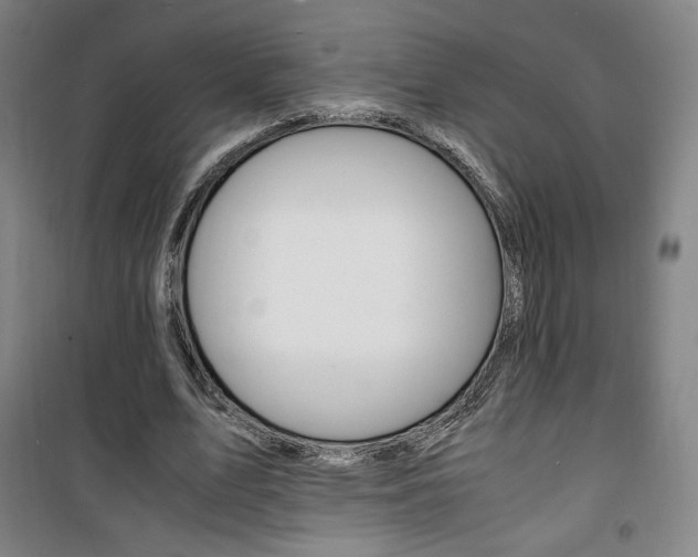 X0000101710583200807101410