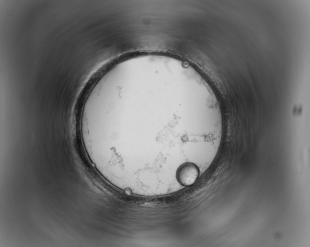 X0000101710584200807101410