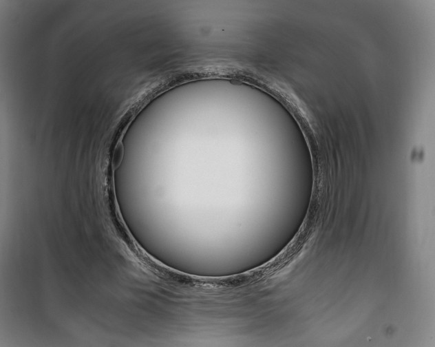 X0000101710585200807101410