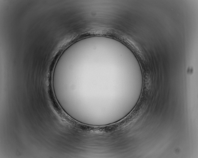 X0000101710586200807101410