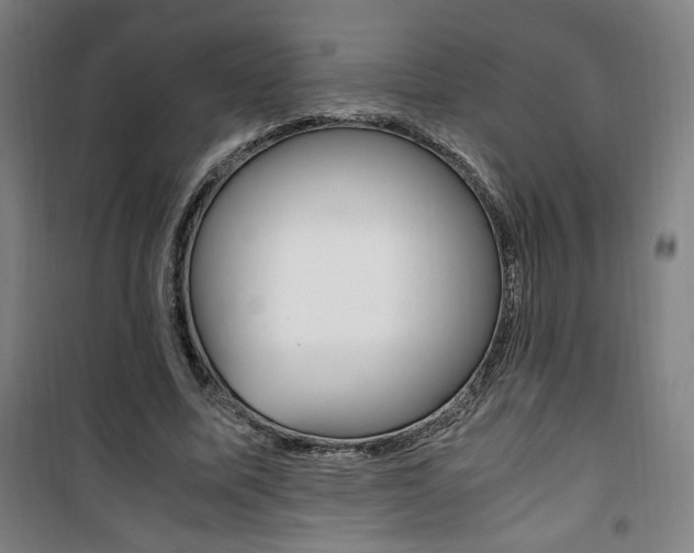 X0000101710587200807101410