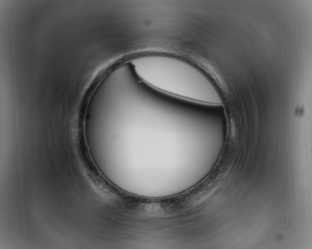X0000101710588200807101410