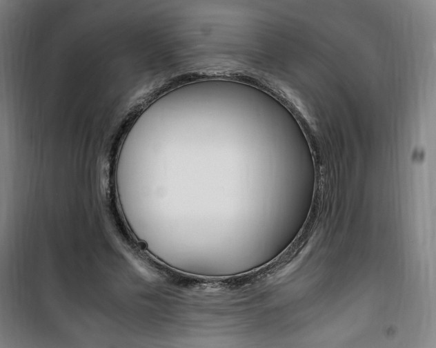 X0000101710589200807101410