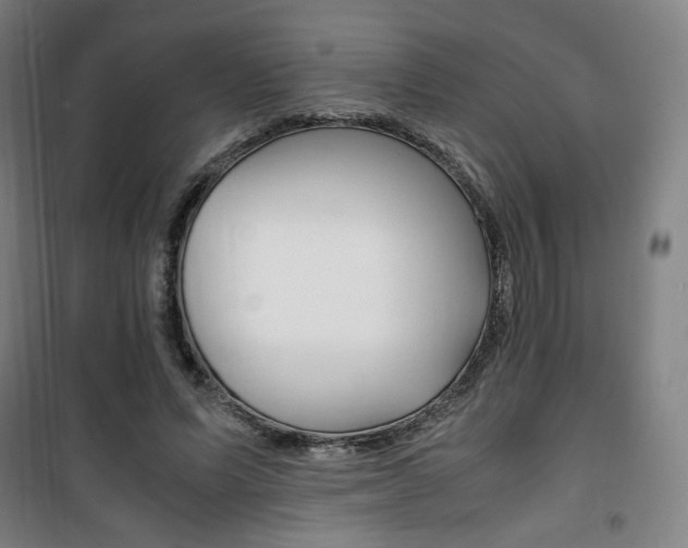 X0000101710591200807101410