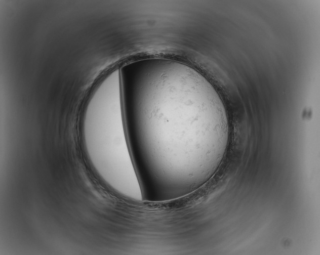 X0000101710592200807101410