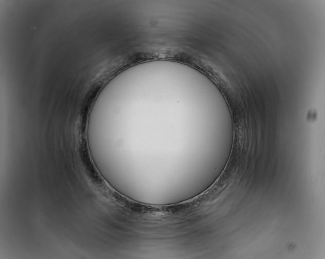 X0000101710594200807101410