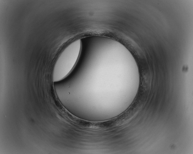 X0000101710596200807101410