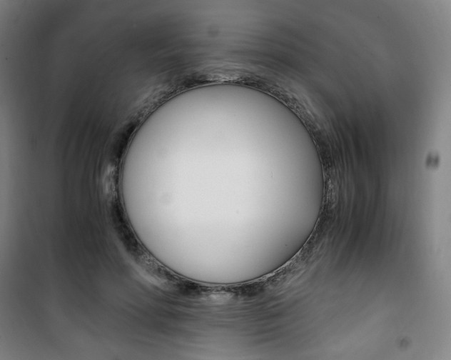 X0000101710598200807101410