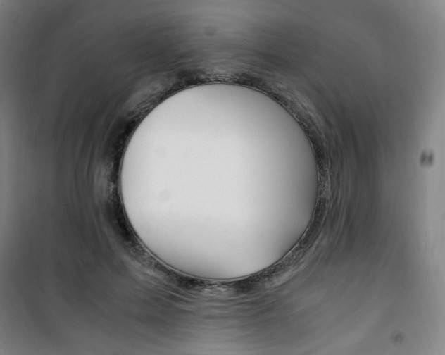 X0000101710599200807101410
