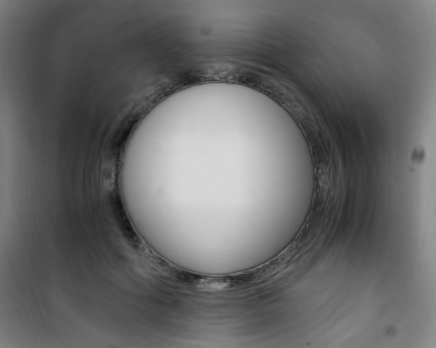 X0000101710602200807101410