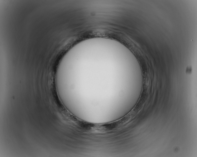 X0000101710603200807101410