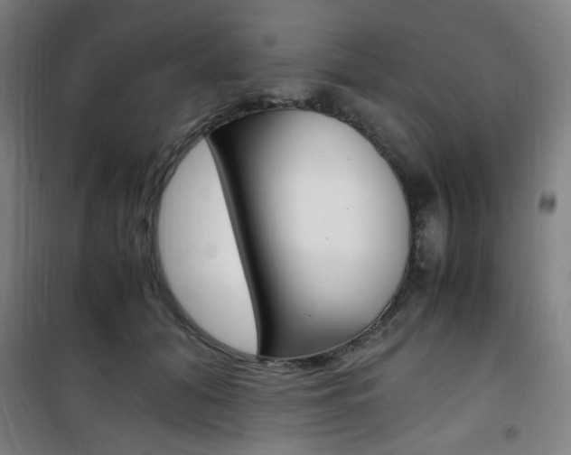 X0000101710608200807101410