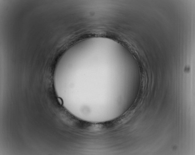 X0000101710609200807101410