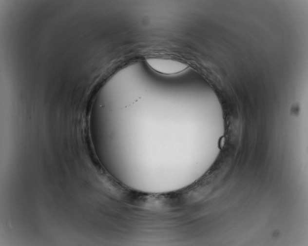 X0000101710612200807101410