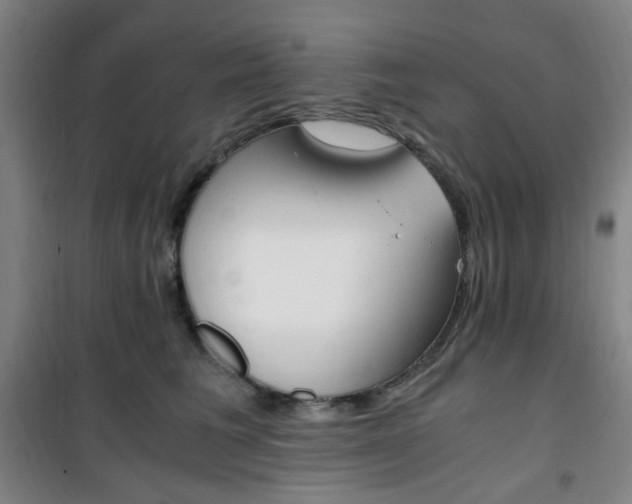 X0000101710613200807101410