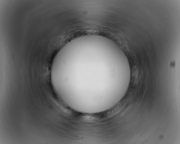 X0000101710614200807101410