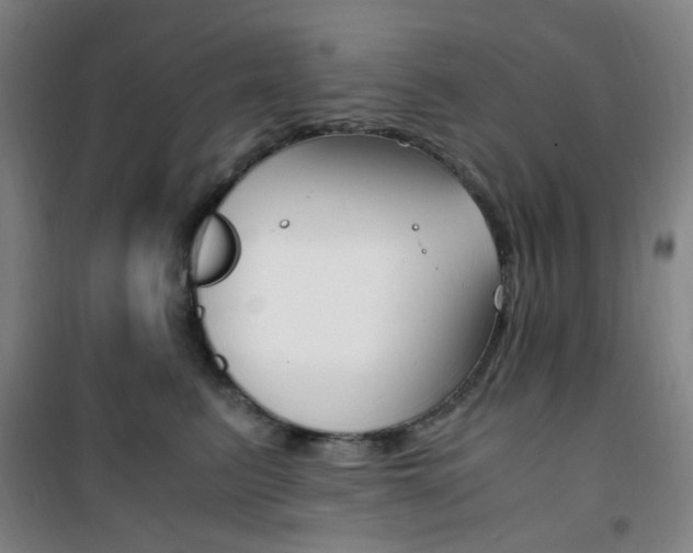 X0000101710615200807101410