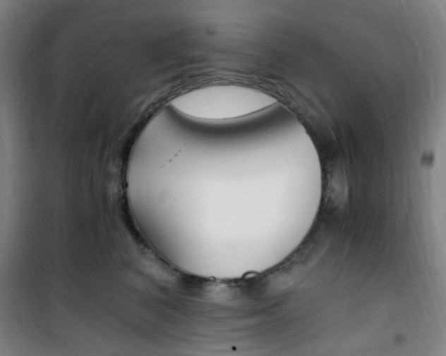 X0000101710616200807101410