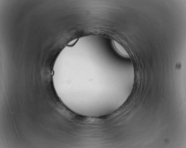 X0000101710617200807101410
