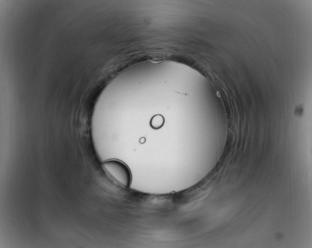 X0000101710619200807101410