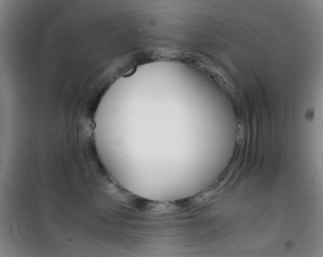 X0000101710621200807101410