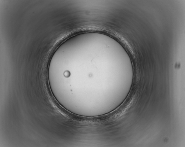 X0000101710625200807101409