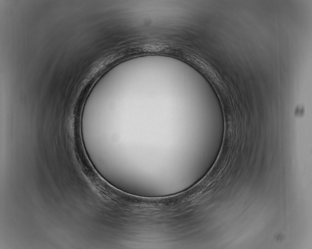 X0000101710626200807101409