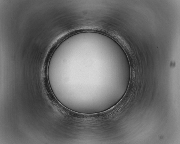 X0000101710628200807101409