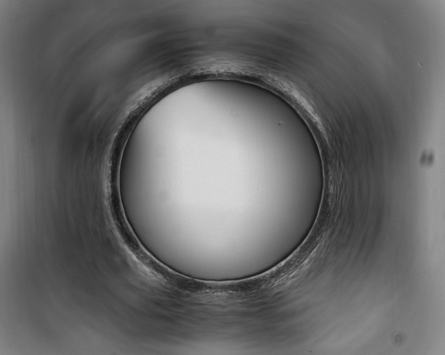 X0000101710629200807101409