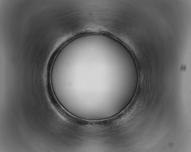 X0000101710630200807101409