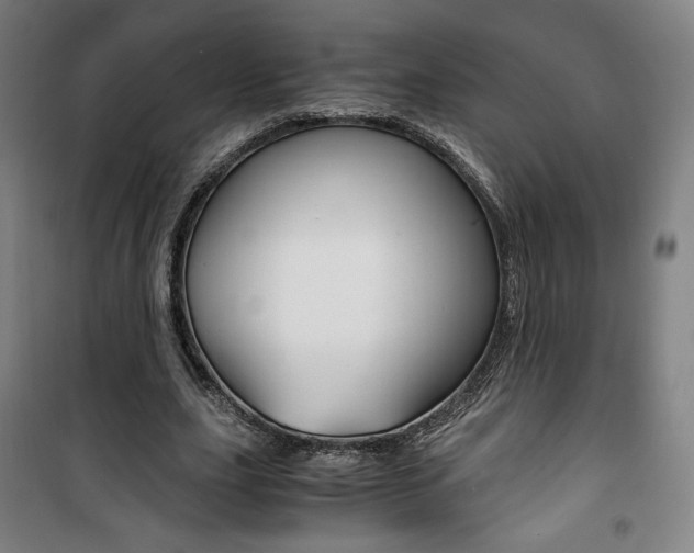 X0000101710631200807101409