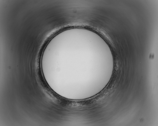 X0000101710632200807101409