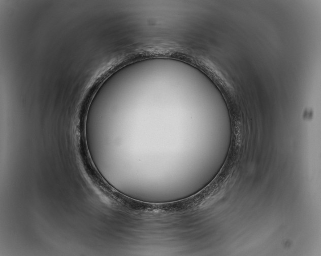 X0000101710634200807101409