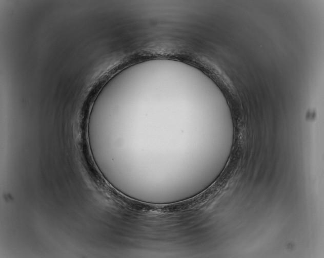 X0000101710635200807101409