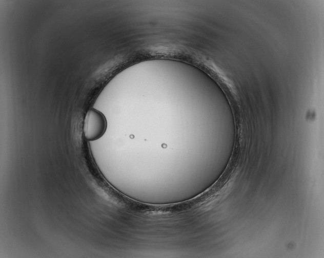 X0000101710637200807101409