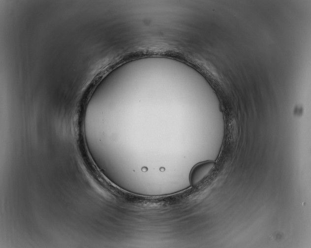 X0000101710638200807101409