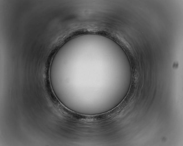 X0000101710639200807101409