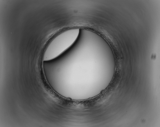 X0000101710640200807101409