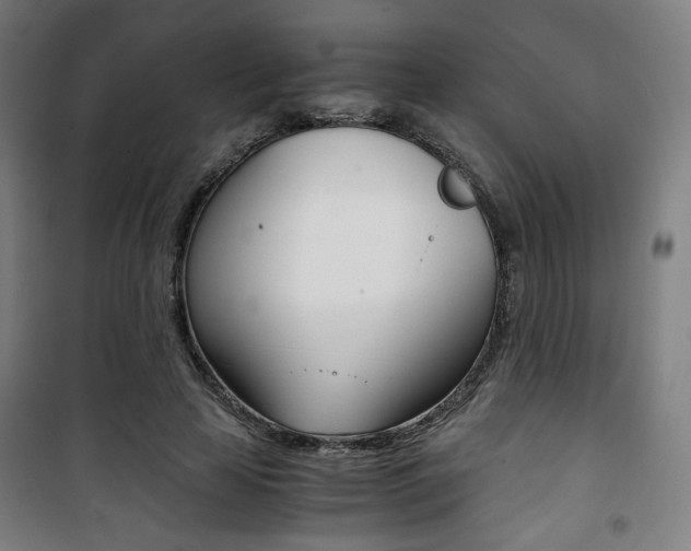 X0000101710641200807101409