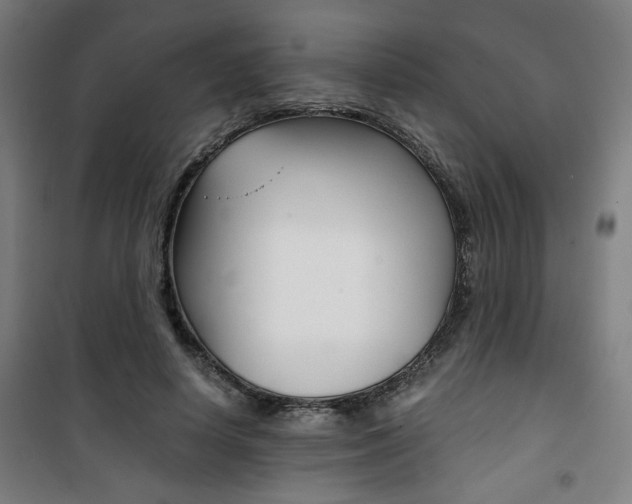 X0000101710642200807101409