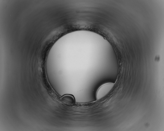 X0000101710643200807101409
