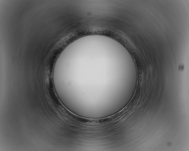 X0000101710644200807101409