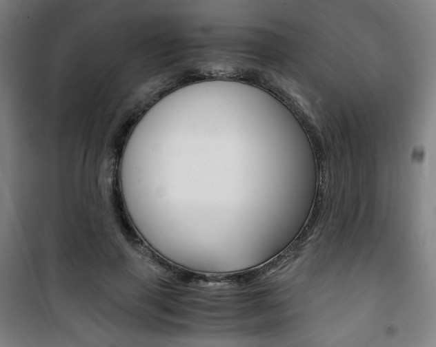 X0000101710645200807101409