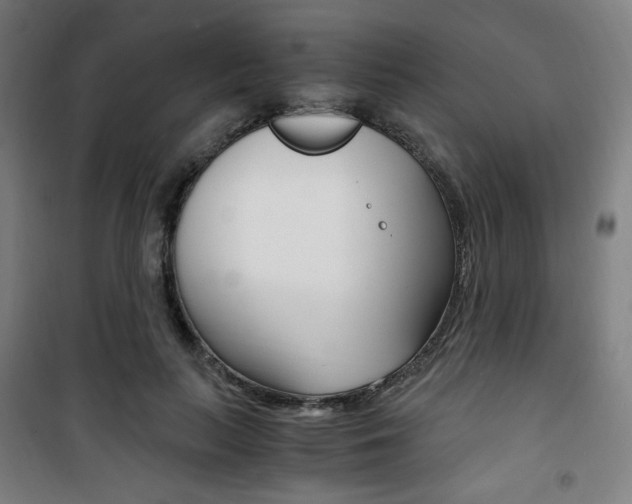 X0000101710647200807101409