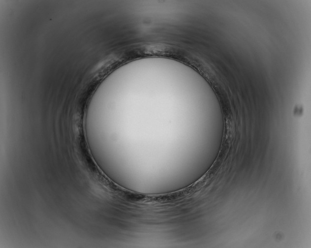 X0000101710648200807101409