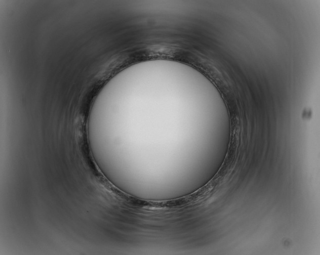 X0000101710649200807101409