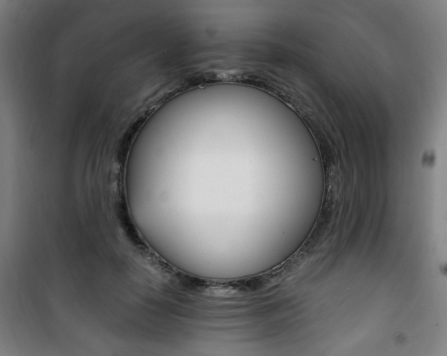 X0000101710650200807101409